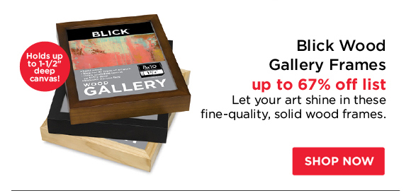 Blick Wood Gallery Frames - up to 67% off list 