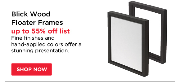 Blick Wood Floater Frames - up to 55% off list