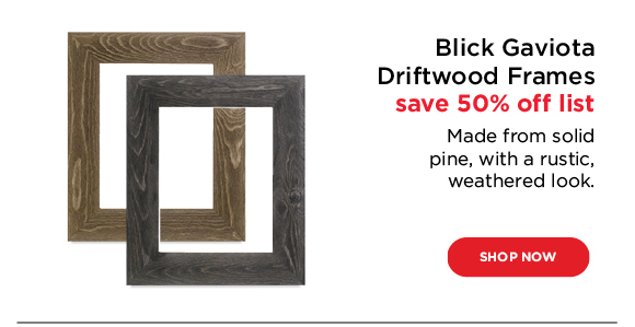 Blick Gaviota Driftwood Frames