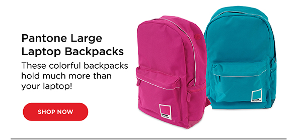 Pantone Large Laptop Backpacks