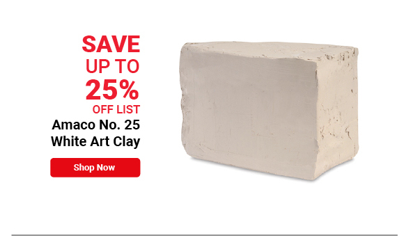 Amaco No. 25 White Art Clay