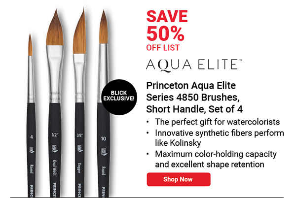 BLICK Exclusive! Aqua Elite Series 4850 Brushes, Set of 4