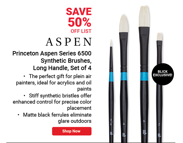 BLICK Exclusive! Aspen Synthetic Brushes, Long Handle, Set of 4