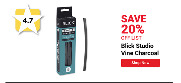 Blick Studio Vine Charcoal