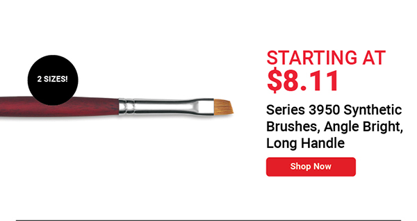 Series 3950 Synthetic Brushes, Angle Bright, Long Handle