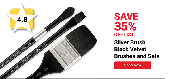 Silver Brush Black Velvet Brushes and Sets