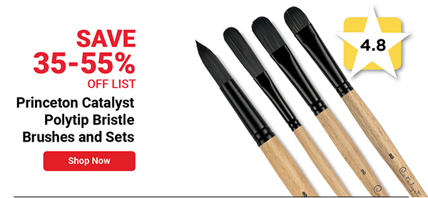 Princeton Catalyst Polytip Bristle Brushes and Sets