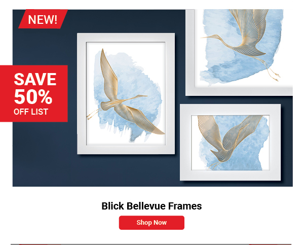 Blick Bellevue Frames