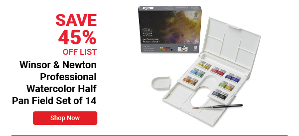 Winsor & Newton Professional Watercolor Half Pan Field Set of 14