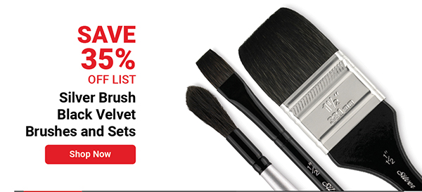 Silver Brush Black Velvet Brushes and Sets