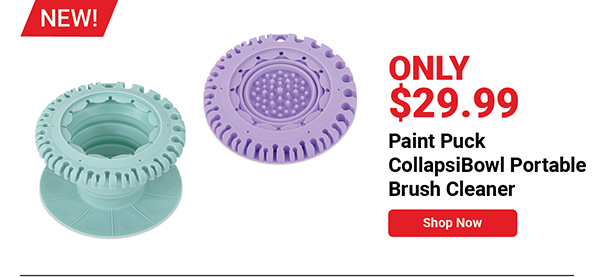 Paint Puck CollapsiBowl Portable Brush Cleaner