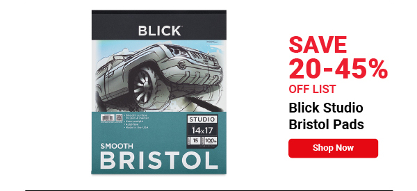 Blick Studio Bristol Pads