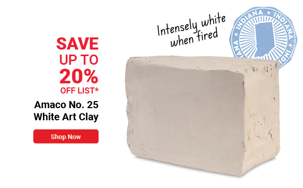 Amaco No. 25 White Art Clay