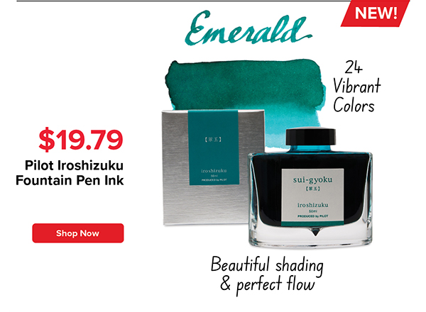 Pilot Iroshiuku Fountain Pen Ink