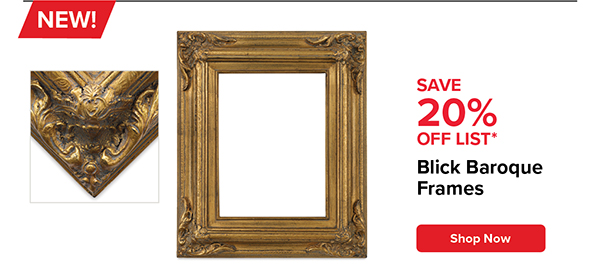 Blick Baroque Frames