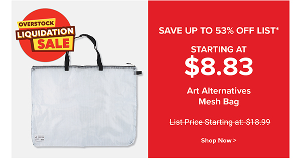 Art Alternatives Mesh Bag