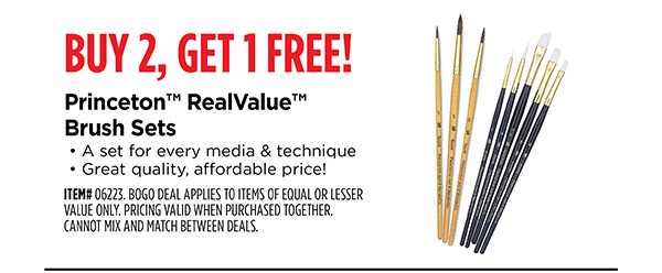 Save on Princeton RealValue Brush Sets in stores