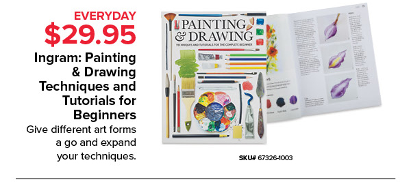 Ingram: Painting & Drawing Techniques and Tutorials for Beginners Everyday $29.95