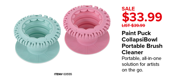 Paint Puck CollapsiBowl Portable Brush Cleaner Sale $33.99
