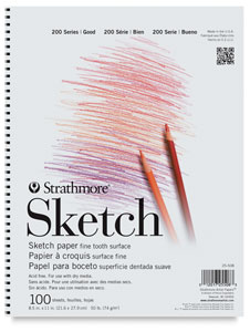 professional artist drawing sketch pad