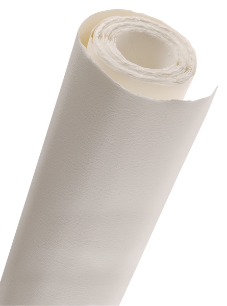 Science project help battery potato