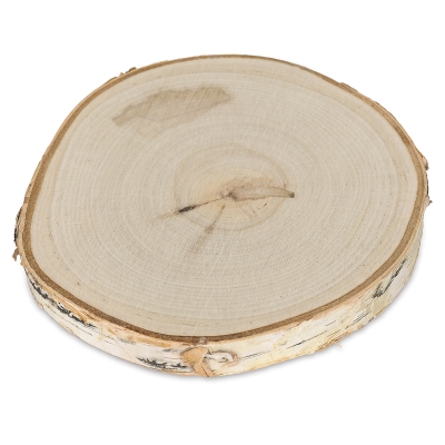 Walnut Hollow Birch Rounds - BLICK art materials